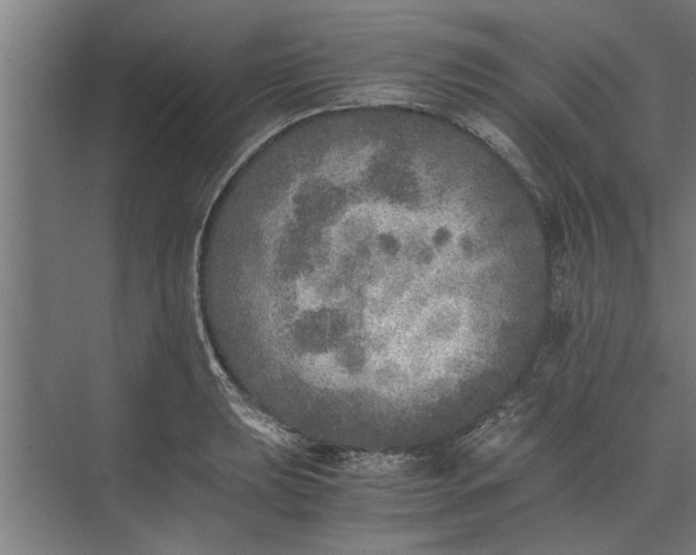 X0000073841039200608241011