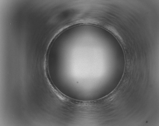 X0000073841040200608241011