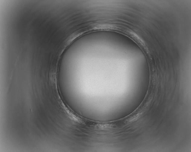 X0000073841041200608241011