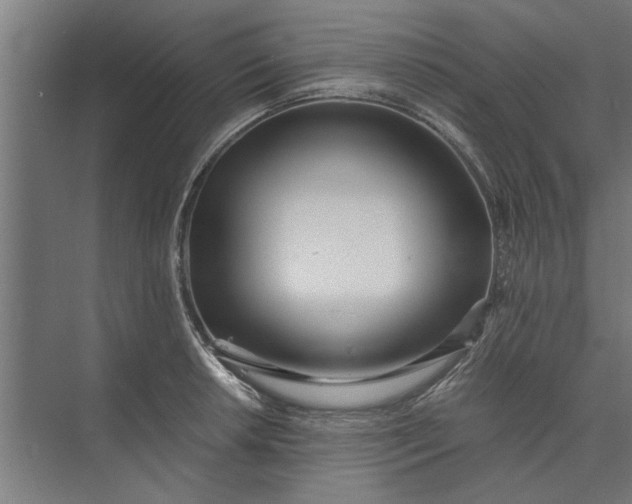 X0000073841042200608241011