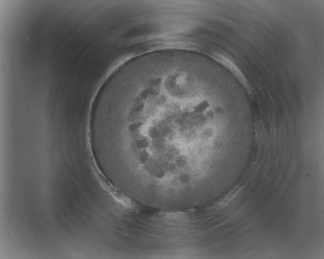 X0000073841043200608241011