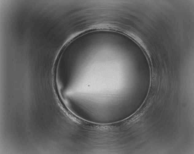 X0000073841045200608241011