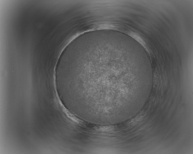 X0000073841047200608241012