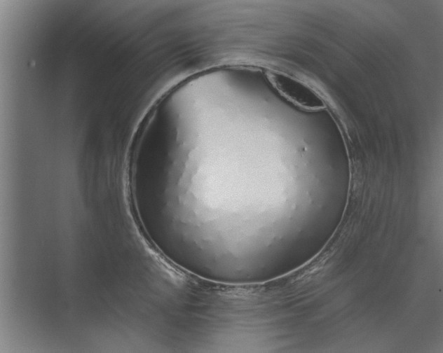 X0000073841048200608241012