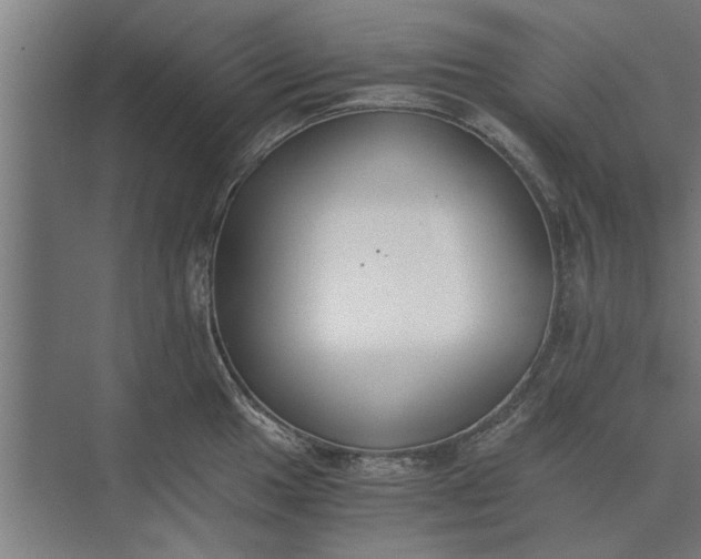 X0000073841049200608241012