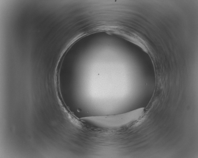 X0000073841050200608241012