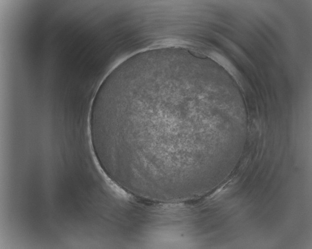 X0000073841055200608241012