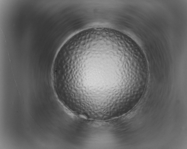 X0000073841056200608241012