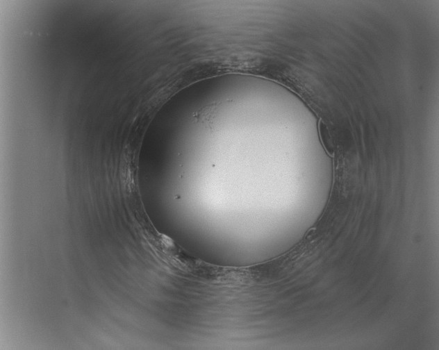 X0000073841058200608241011