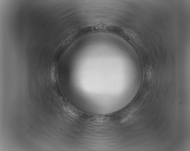 X0000073841060200608241011