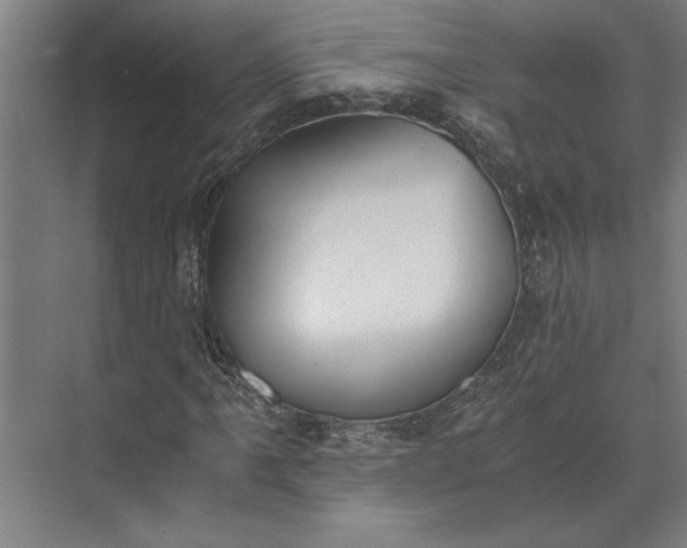 X0000073841061200608241011