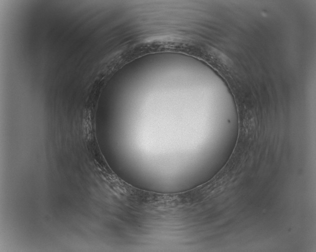 X0000073841062200608241011