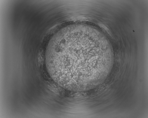 X0000073841063200608241011