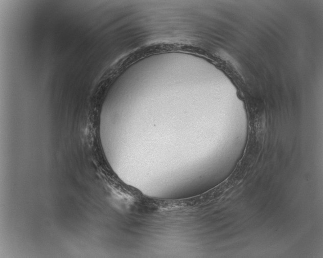 X0000073841064200608241011