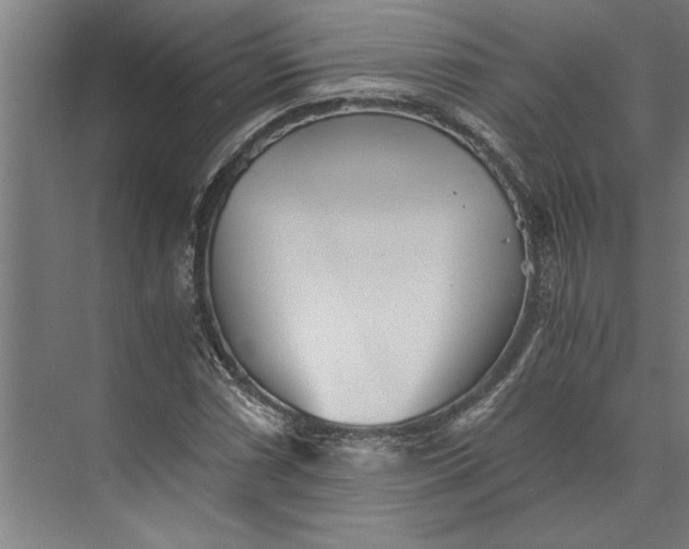 X0000073841066200608241011