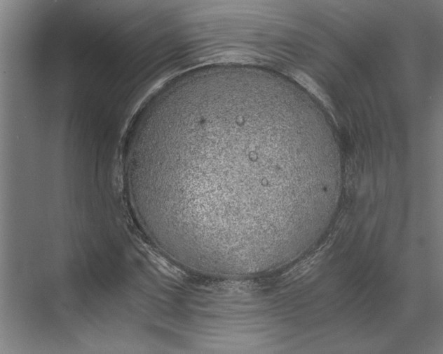 X0000073841067200608241011