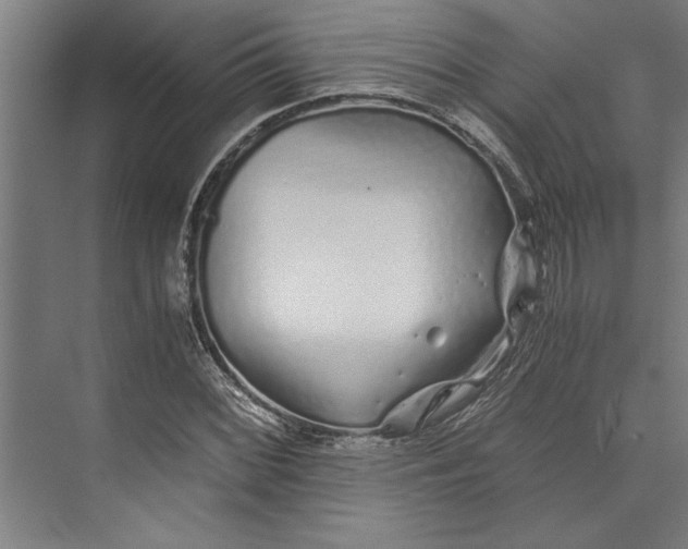 X0000073841068200608241011