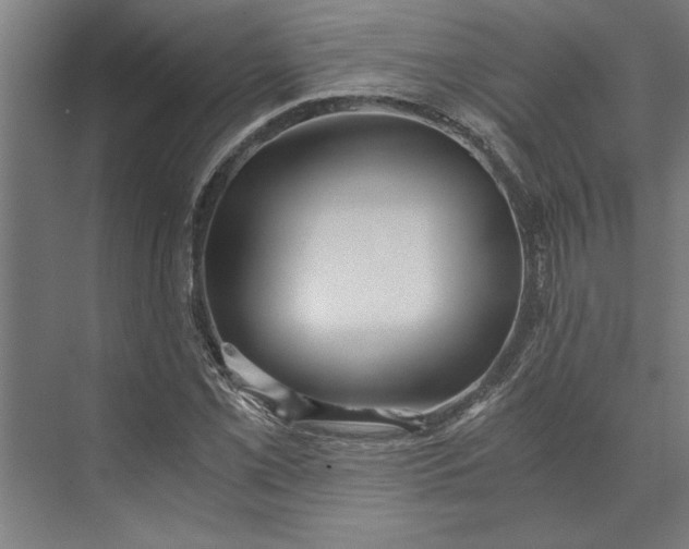 X0000073841069200608241011