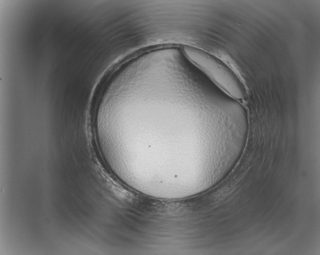 X0000073841072200608241011