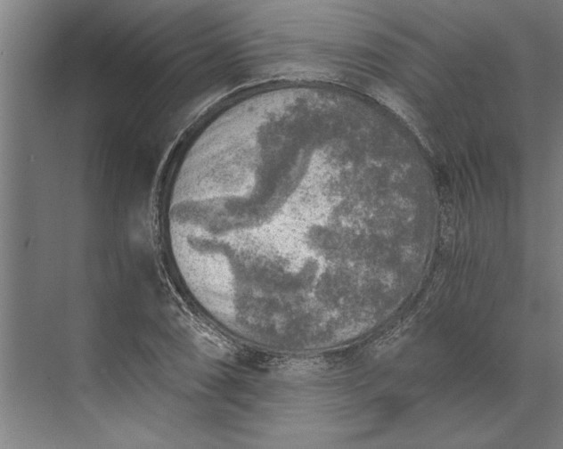 X0000073841074200608241011