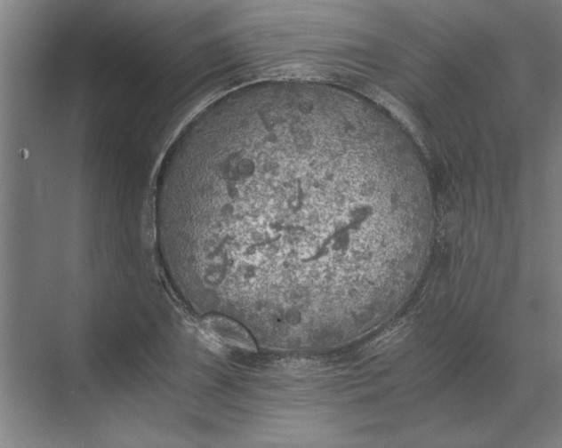 X0000073841075200608241011