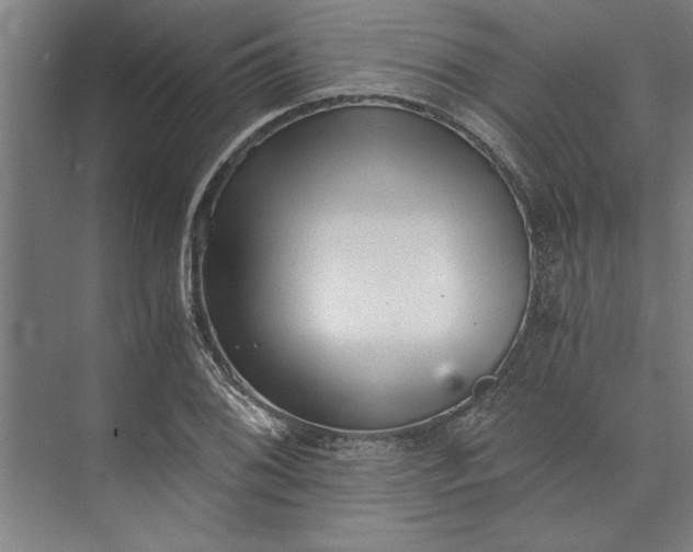 X0000073841076200608241011