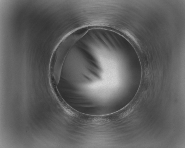 X0000073841077200608241011