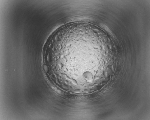 X0000073841079200608241010