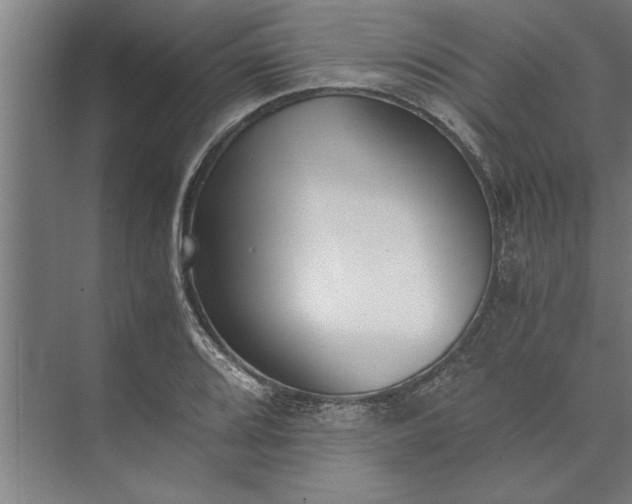 X0000073841080200608241010