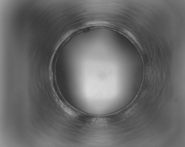 X0000073841082200608241010