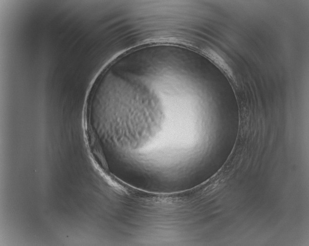 X0000073841084200608241010