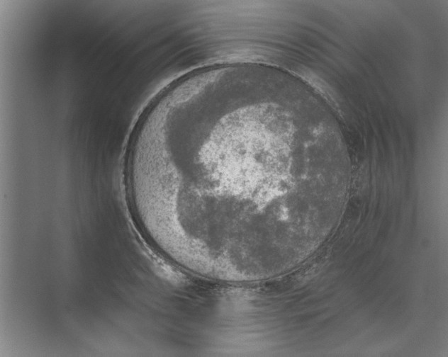 X0000073841086200608241010