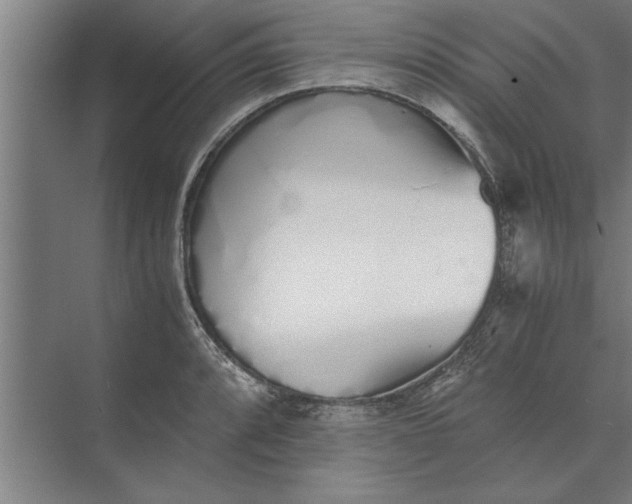 X0000073841088200608241010