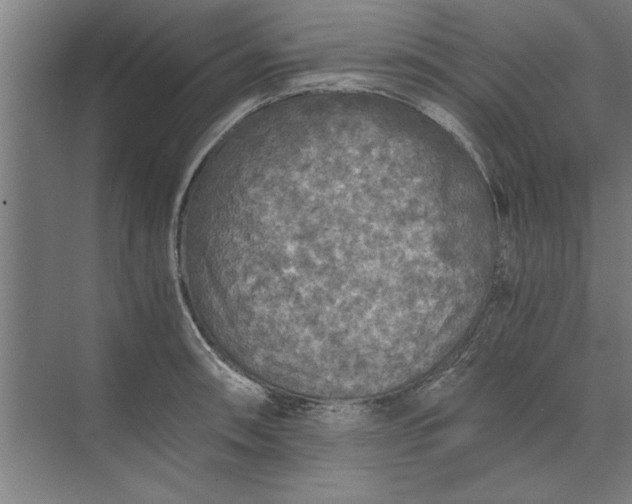 X0000073841090200608241010