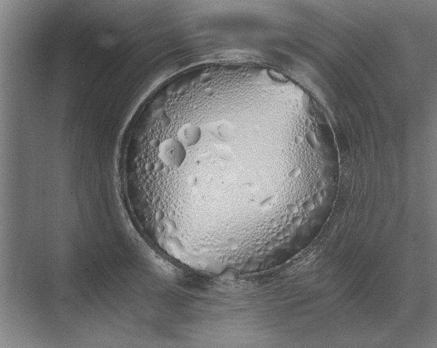 X0000073841091200608241010