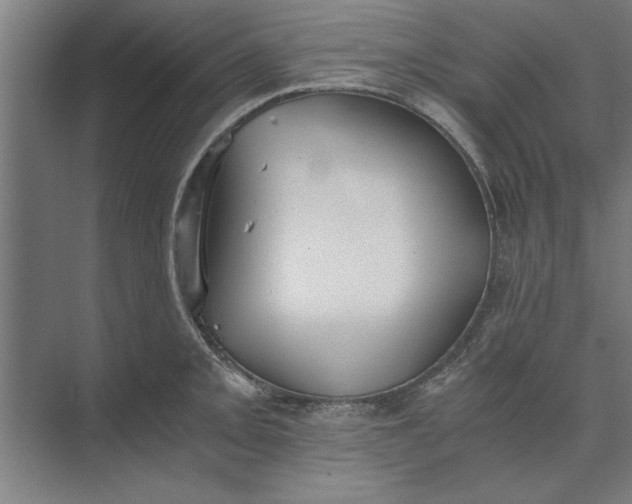 X0000073841093200608241010