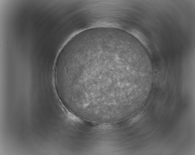 X0000073841094200608241010