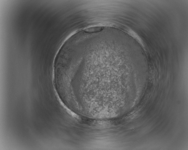 X0000073841095200608241010