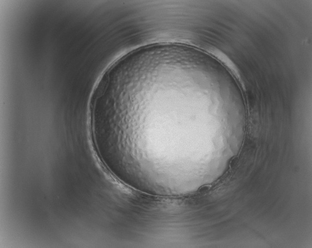 X0000073841096200608241010