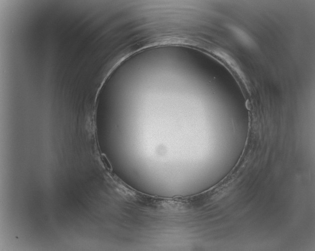 X0000073841097200608241010