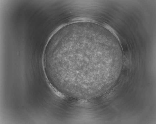 X0000073841098200608241010