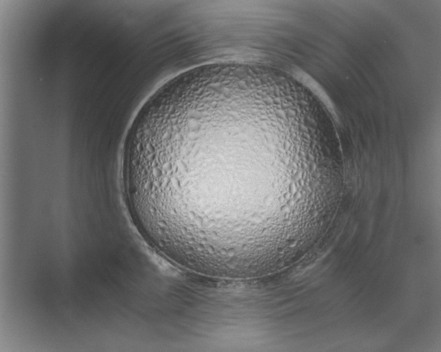 X0000073841099200608241010