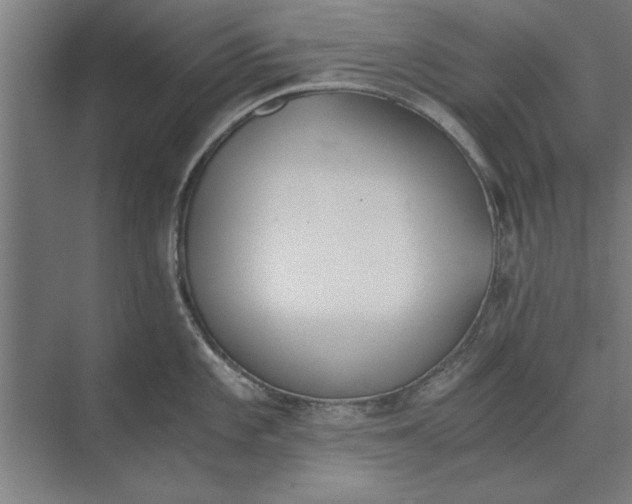 X0000073841101200608241010