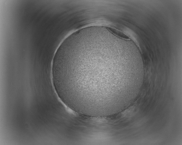 X0000073841103200608241010