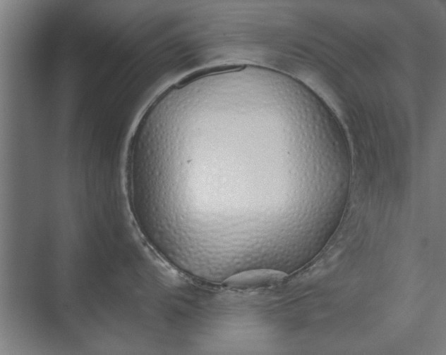 X0000073841104200608241010