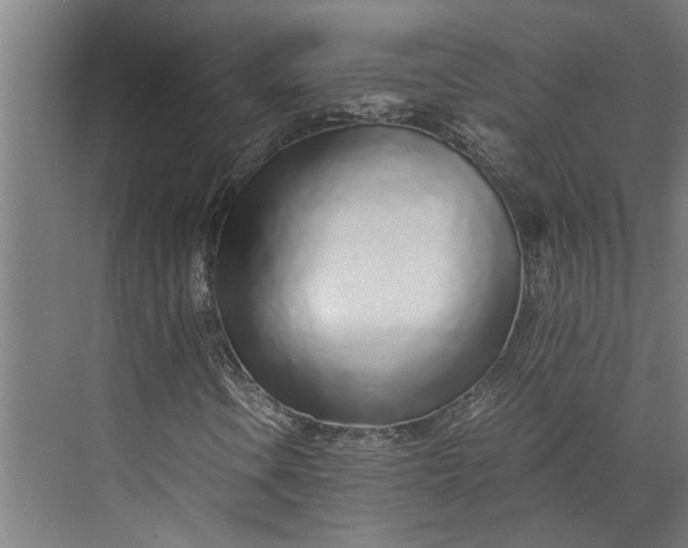 X0000073841106200608241009