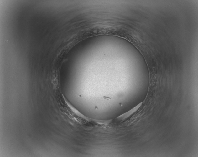 X0000073841109200608241009