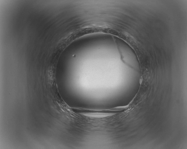 X0000073841110200608241009