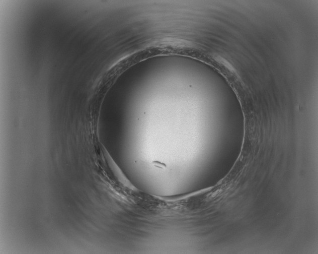 X0000073841112200608241009