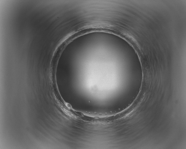 X0000073841114200608241009